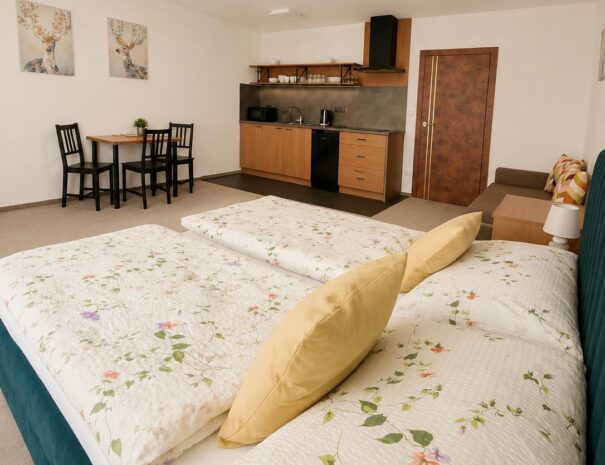 Apartmán č.11